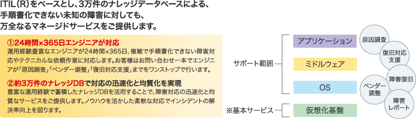 NSWが実現するIaaS型のクラウドサービス｜BlueSpider｜ブルースパイダー
