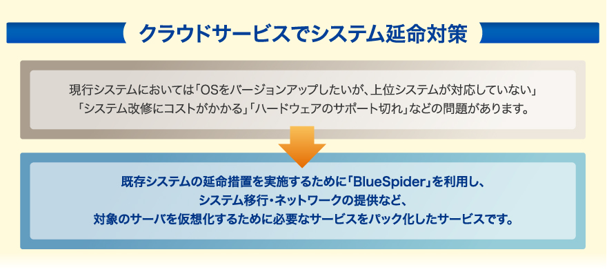 NSWが実現するIaaS型のクラウドサービス｜BlueSpider｜ブルースパイダー