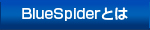 ブルースパイダーとは