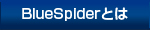 ブルースパイダーとは